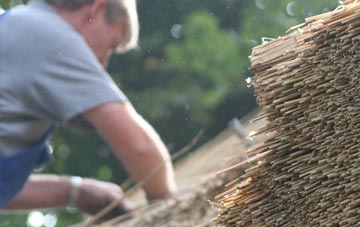 professional The Row thatchers