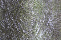 The Row fibreglass roof work